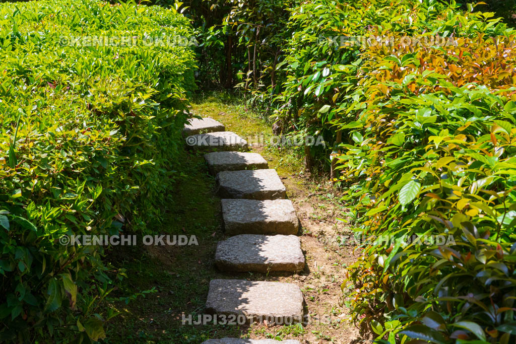 京都府　金福寺　芭蕉庵付近の小道