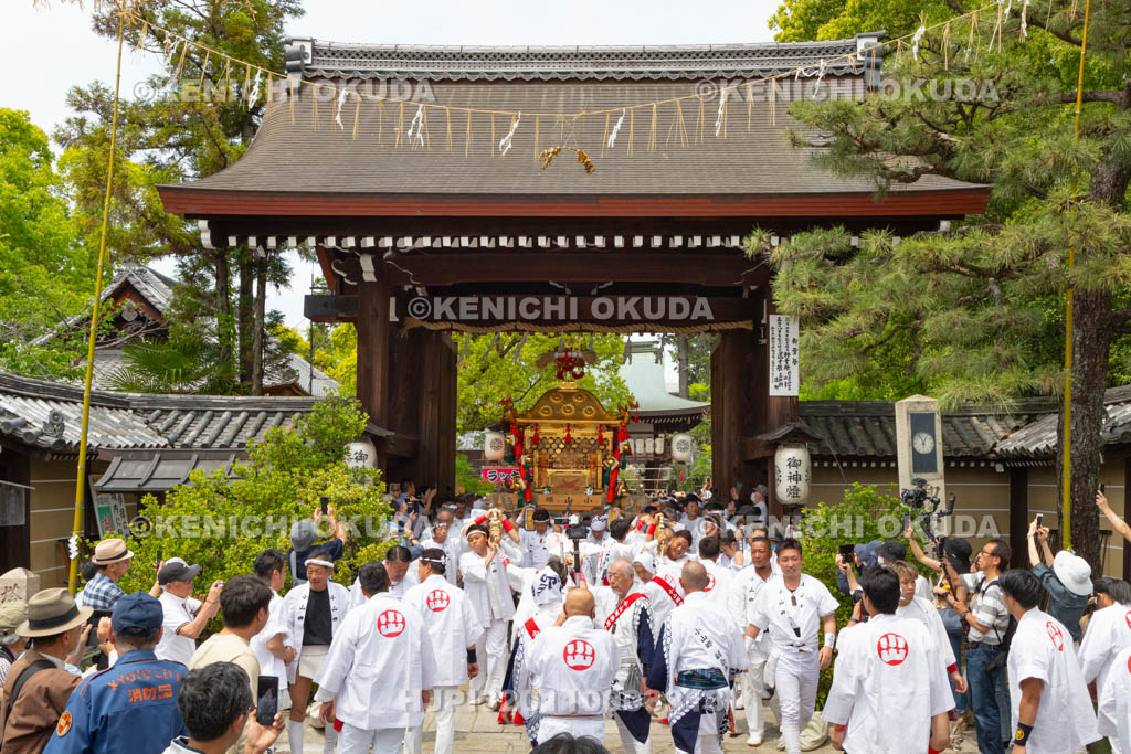 京都府　御霊（上御霊）神社　御霊祭　還幸祭（渡御の儀）　宮出