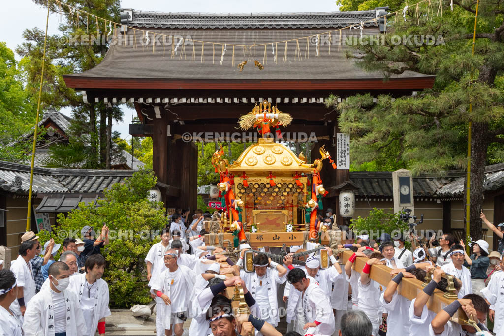 京都府　御霊（上御霊）神社　御霊祭　還幸祭（渡御の儀）　宮出