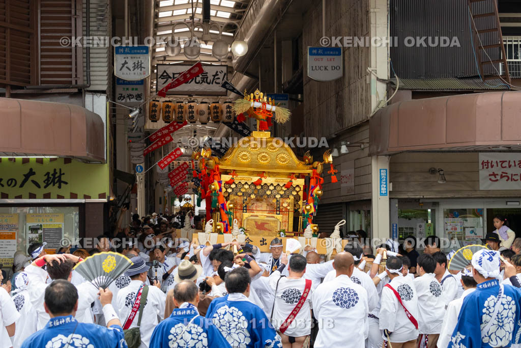 京都府　御霊（上御霊）神社　御霊祭　還幸祭（渡御の儀）