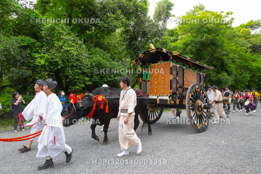 京都府　御霊（上御霊）神社　御霊祭　還幸祭（渡御の儀）　牛車