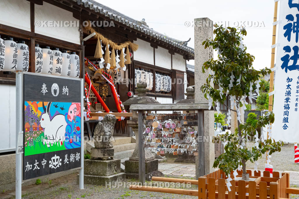 和歌山県　加太春日神社　例大祭　渡御祭（えび祭り）