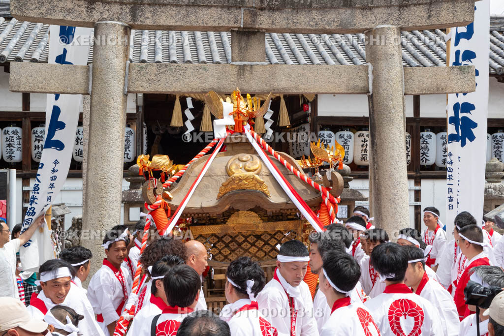 和歌山県　加太春日神社　例大祭　渡御祭（えび祭り）