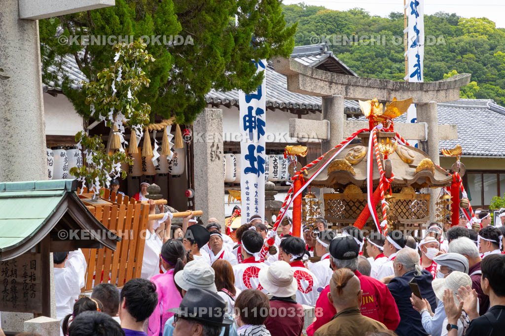 和歌山県　加太春日神社　例大祭　渡御祭（えび祭り）