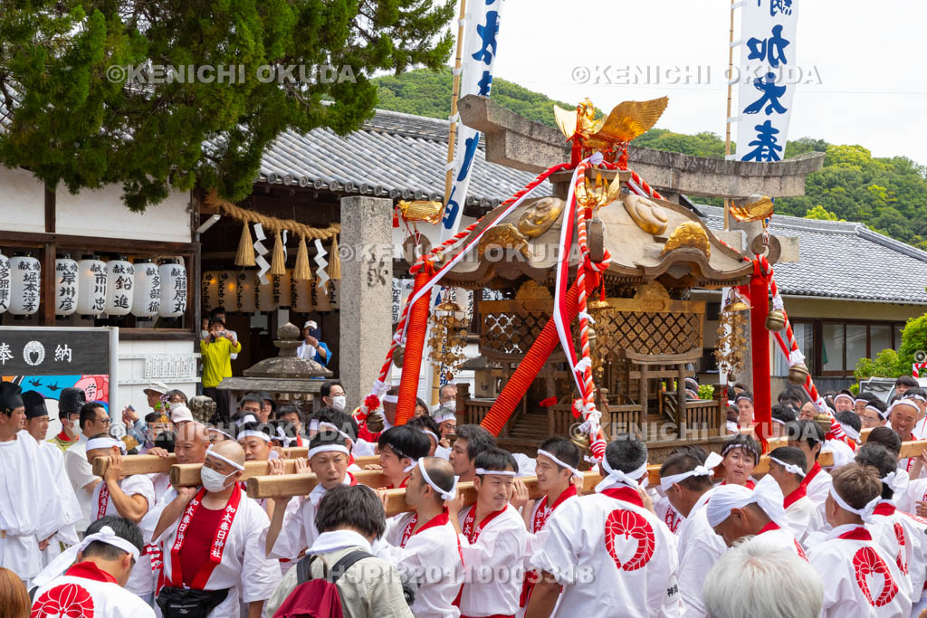 和歌山県　加太春日神社　例大祭　渡御祭（えび祭り）