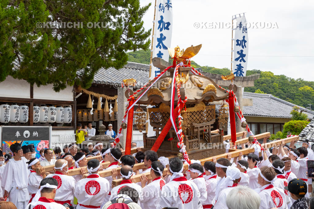 和歌山県　加太春日神社　例大祭　渡御祭（えび祭り）
