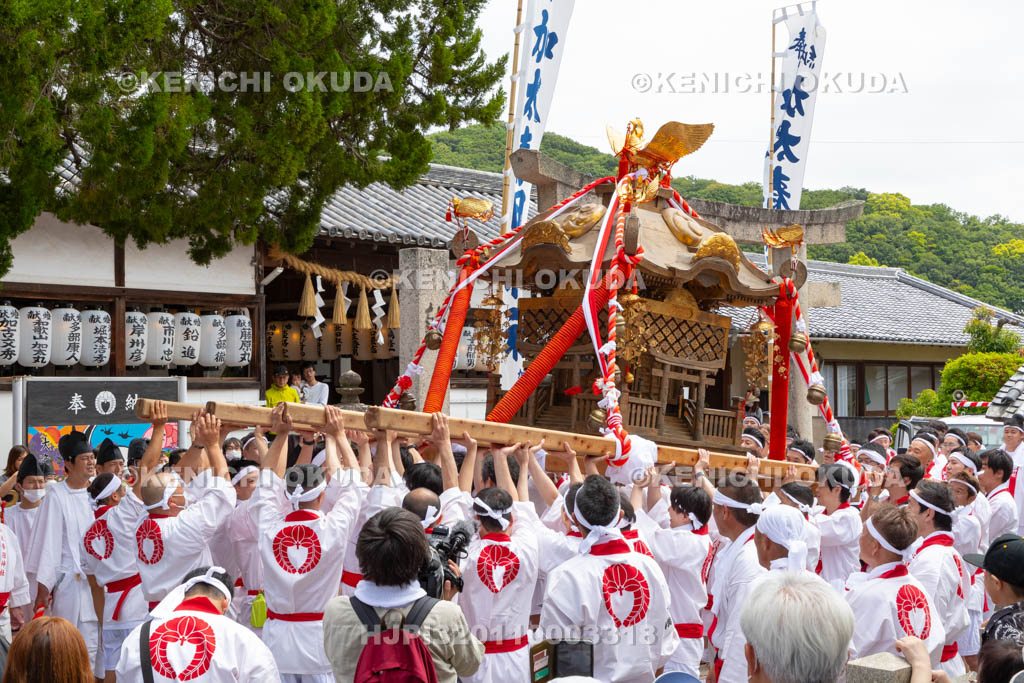 和歌山県　加太春日神社　例大祭　渡御祭（えび祭り）