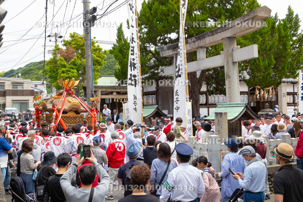 和歌山県　加太春日神社　例大祭　渡御祭（えび祭り）