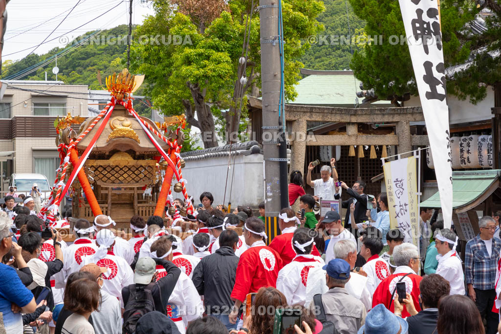 和歌山県　加太春日神社　例大祭　渡御祭（えび祭り）