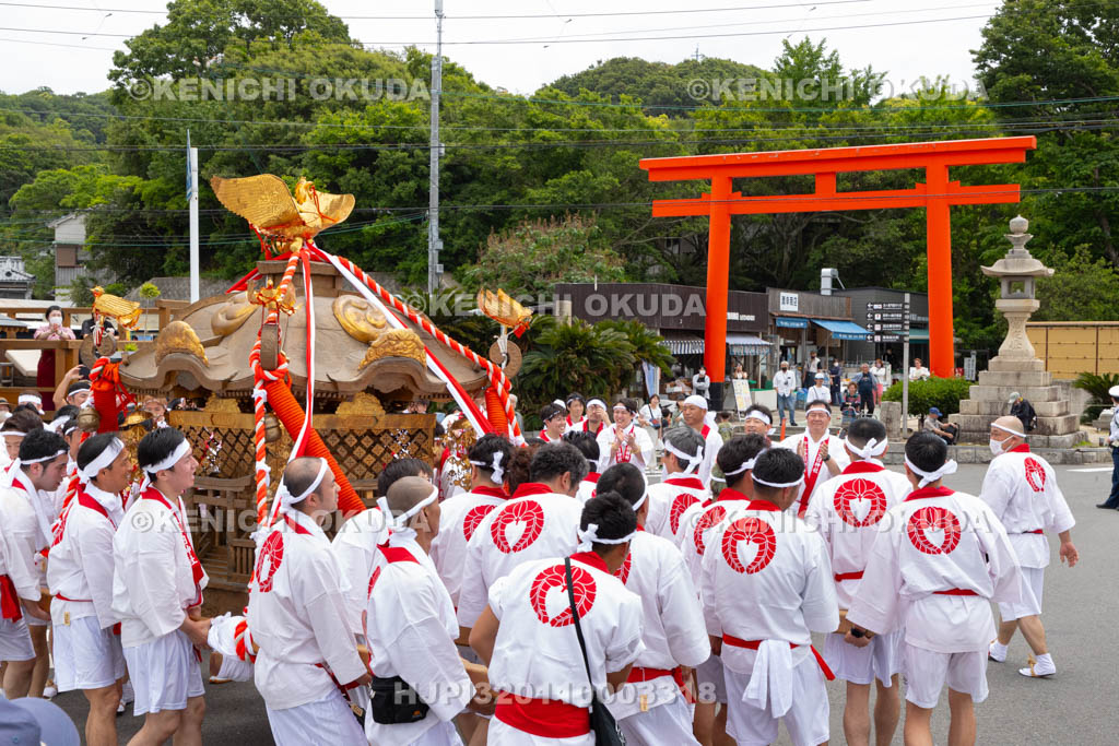 和歌山県　加太春日神社　例大祭　渡御祭（えび祭り）