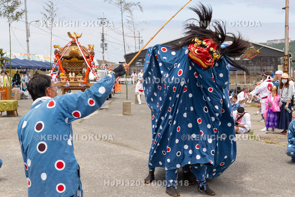 和歌山県　加太春日神社　例大祭　渡御祭（えび祭り）