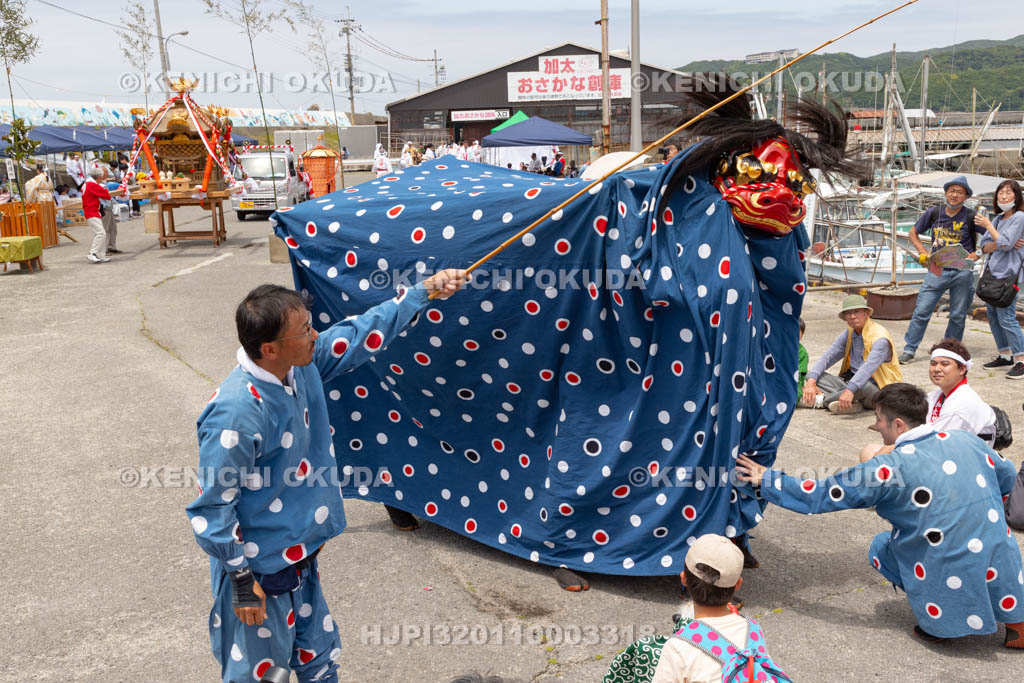 和歌山県　加太春日神社　例大祭　渡御祭（えび祭り）
