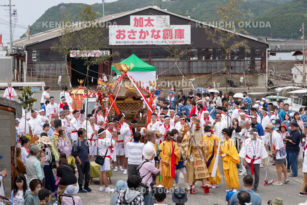 和歌山県　加太春日神社　例大祭　渡御祭（えび祭り）