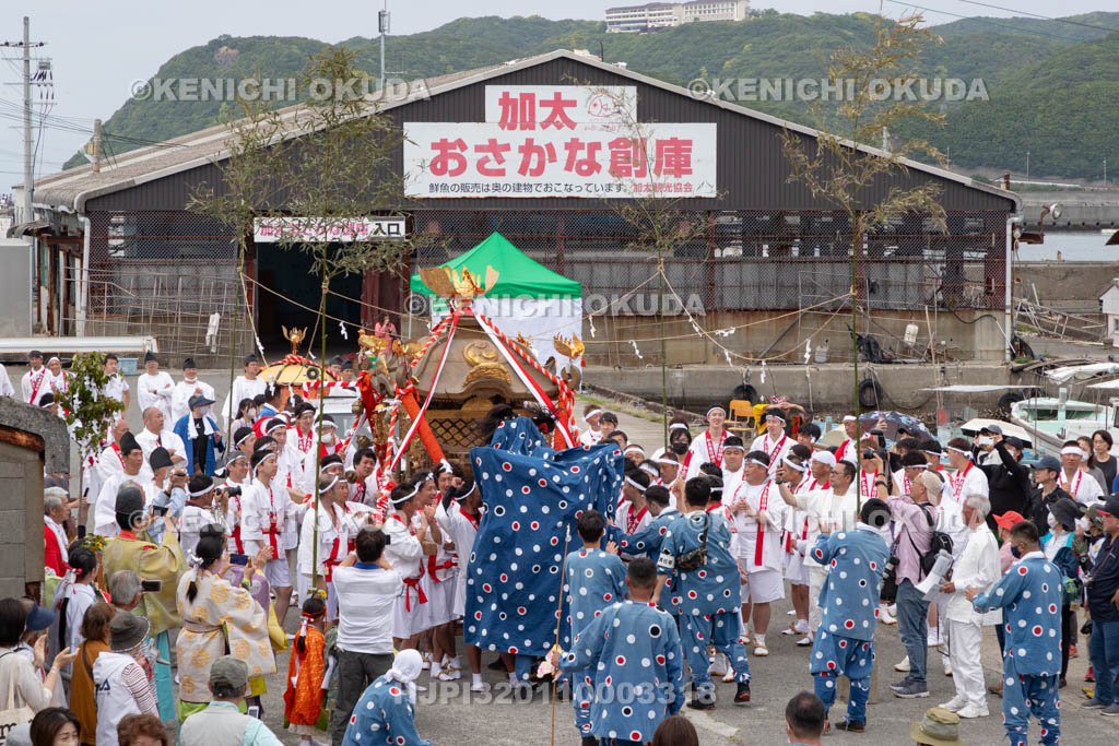 和歌山県　加太春日神社　例大祭　渡御祭（えび祭り）