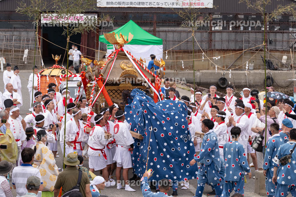 和歌山県　加太春日神社　例大祭　渡御祭（えび祭り）