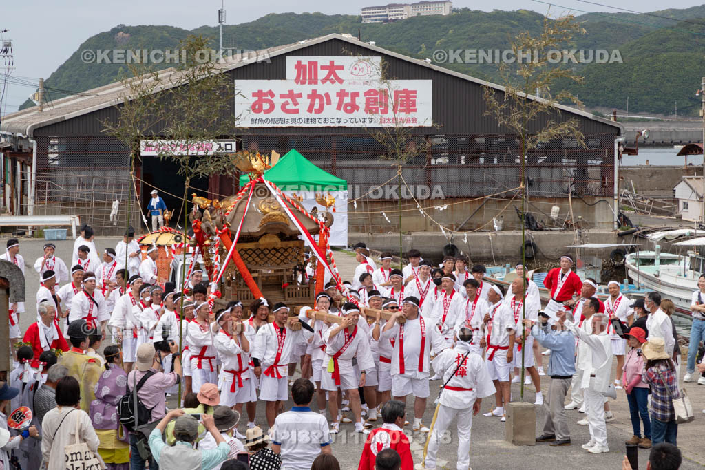 和歌山県　加太春日神社　例大祭　渡御祭（えび祭り）