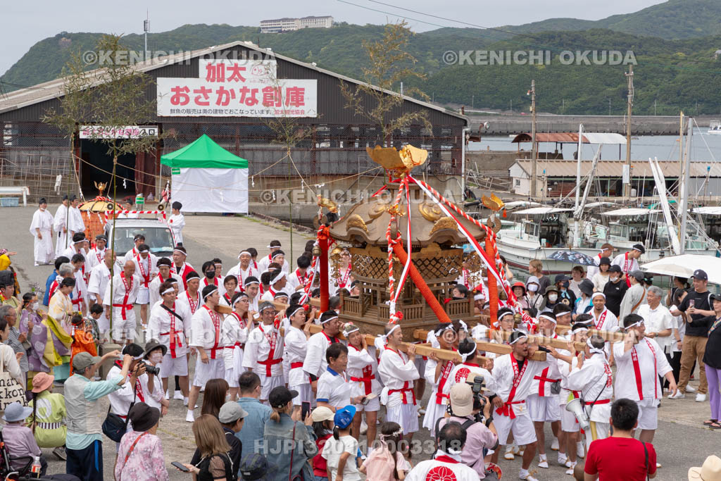 和歌山県　加太春日神社　例大祭　渡御祭（えび祭り）