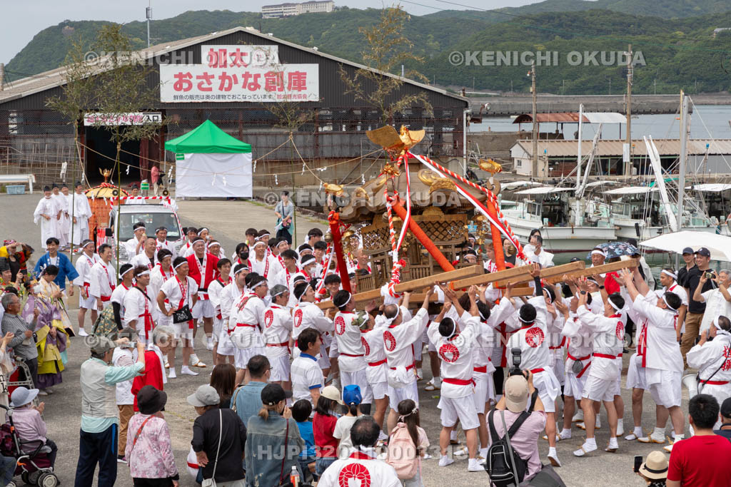和歌山県　加太春日神社　例大祭　渡御祭（えび祭り）