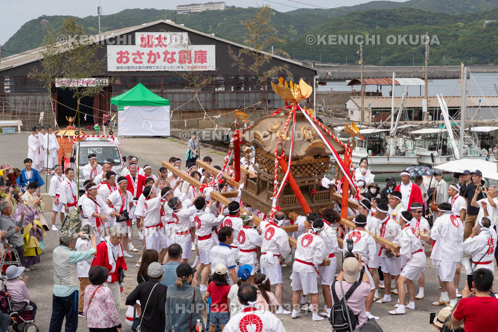 和歌山県　加太春日神社　例大祭　渡御祭（えび祭り）