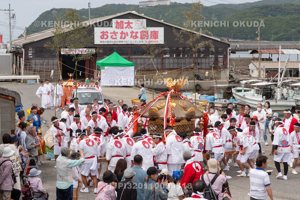和歌山県　加太春日神社　例大祭　渡御祭（えび祭り）