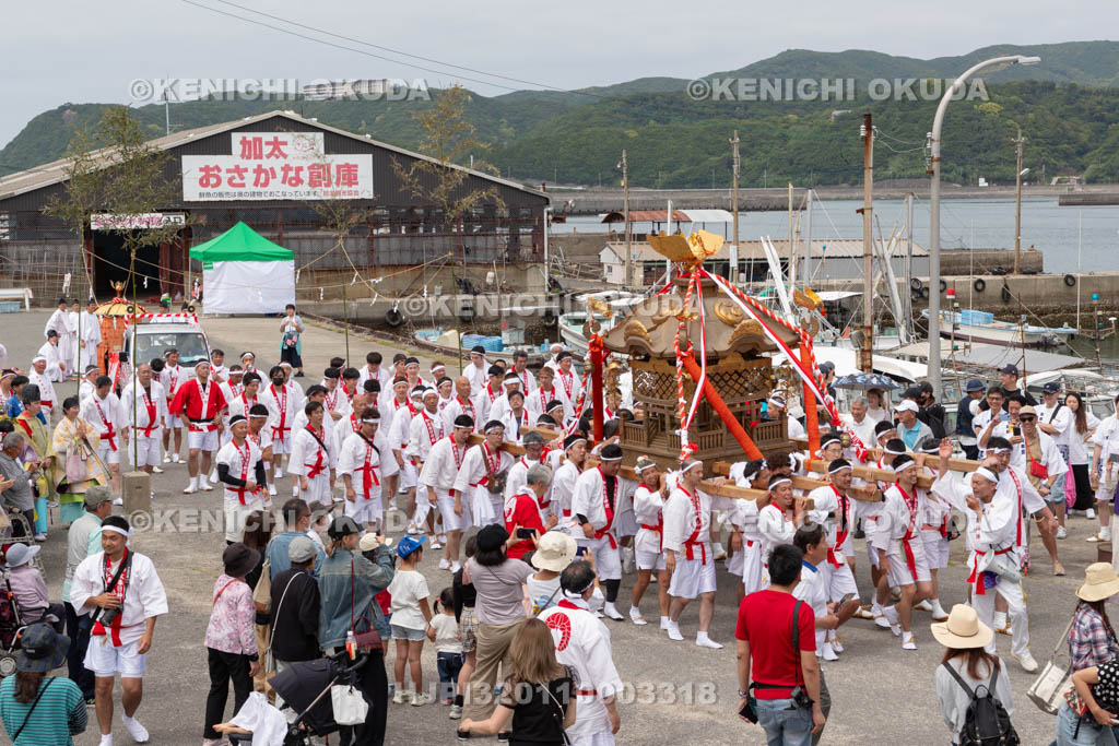 和歌山県　加太春日神社　例大祭　渡御祭（えび祭り）