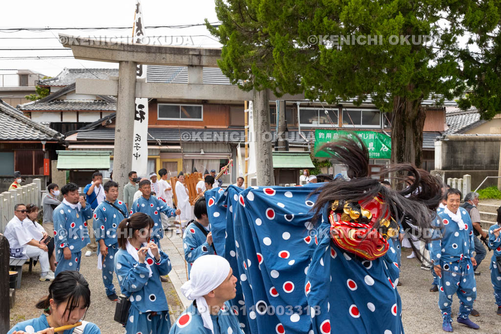 和歌山県　加太春日神社　例大祭　渡御祭（えび祭り）