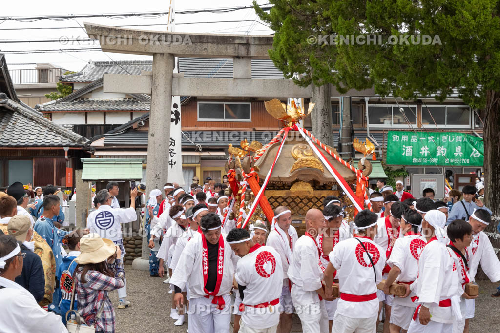 和歌山県　加太春日神社　例大祭　渡御祭（えび祭り）
