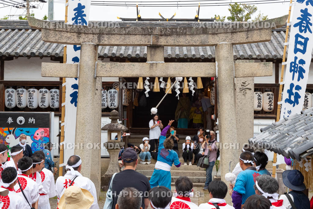 和歌山県　加太春日神社　例大祭　渡御祭（えび祭り）