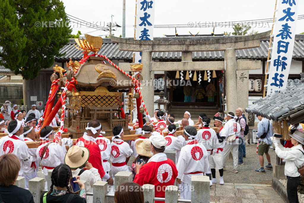 和歌山県　加太春日神社　例大祭　渡御祭（えび祭り）