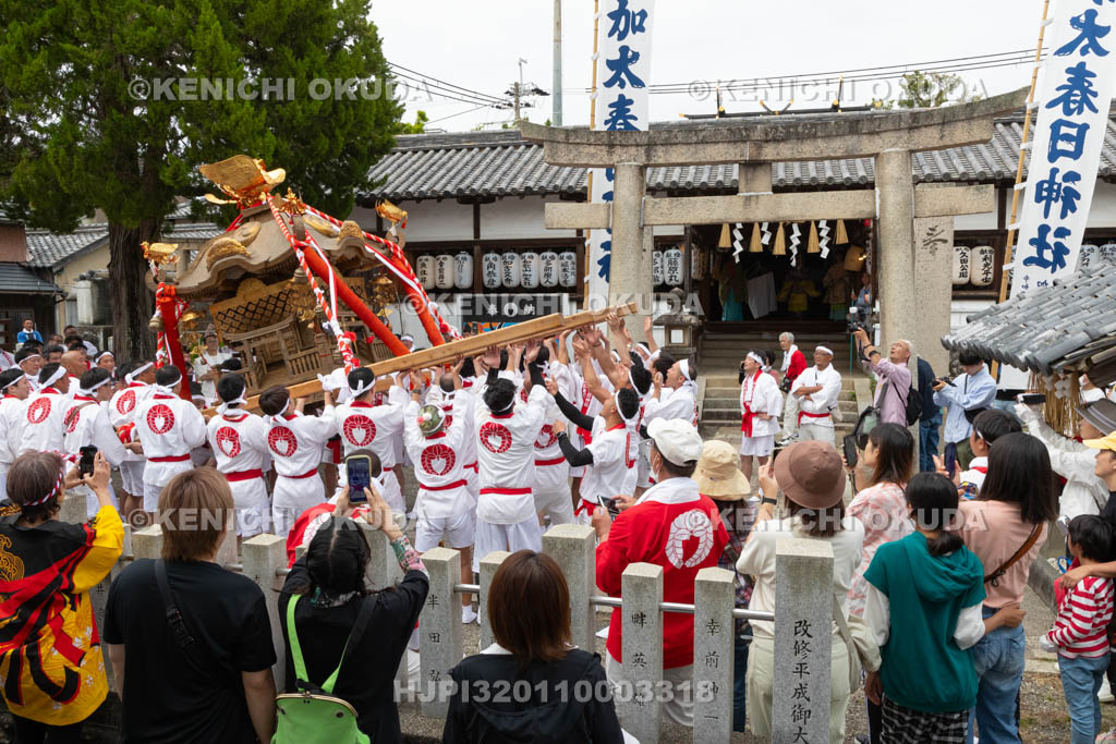 和歌山県　加太春日神社　例大祭　渡御祭（えび祭り）