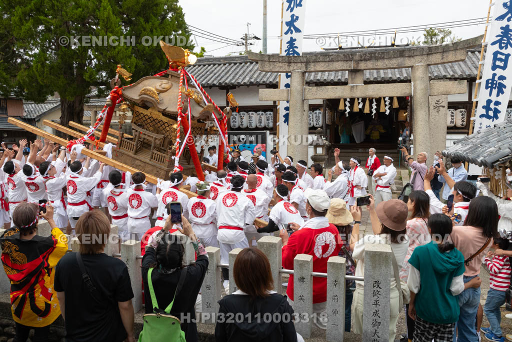 和歌山県　加太春日神社　例大祭　渡御祭（えび祭り）