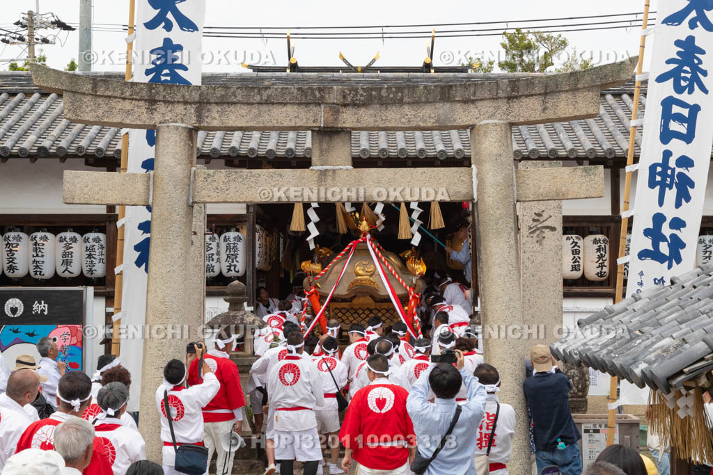 和歌山県　加太春日神社　例大祭　渡御祭（えび祭り）