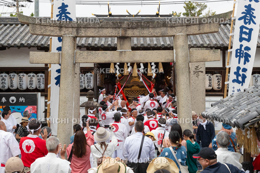 和歌山県　加太春日神社　例大祭　渡御祭（えび祭り）