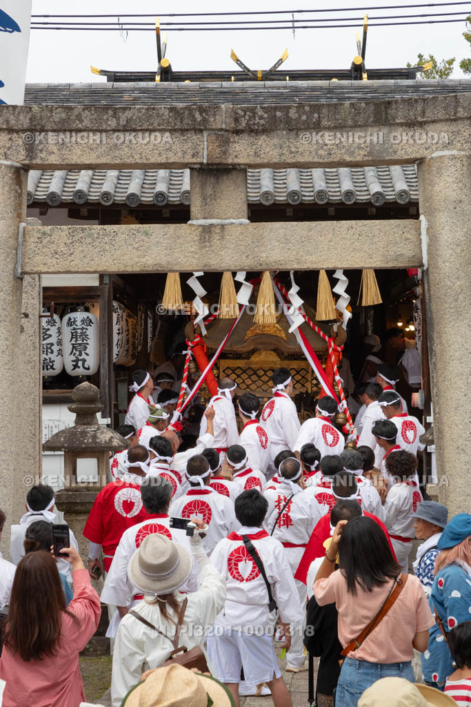 和歌山県　加太春日神社　例大祭　渡御祭（えび祭り）