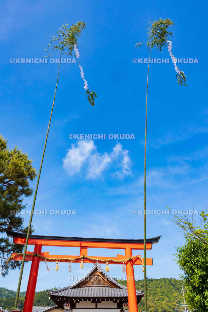 京都府　嵯峨祭　御旅所の斎竹