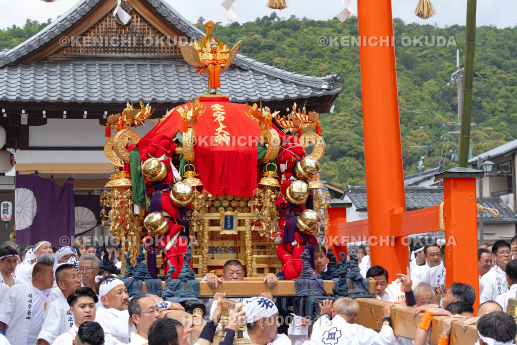 京都府　嵯峨祭還幸祭　神輿渡御　御旅所発輿