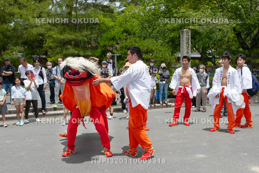 京都府　嵯峨祭還幸祭　渡御巡行　獅子舞