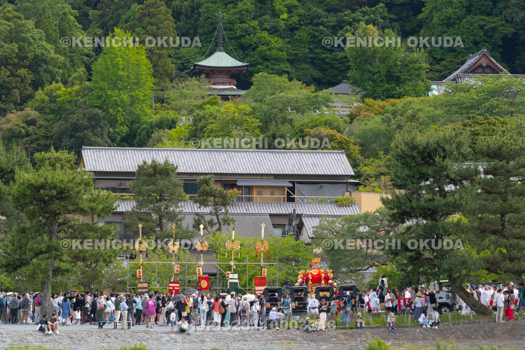 京都府　嵯峨祭還幸祭　神輿渡御