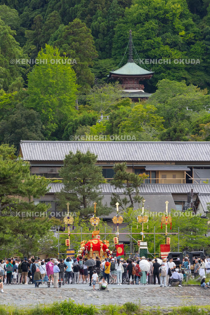 京都府　嵯峨祭還幸祭　神輿渡御