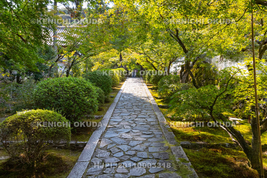 京都府　酬恩庵一休寺　参道