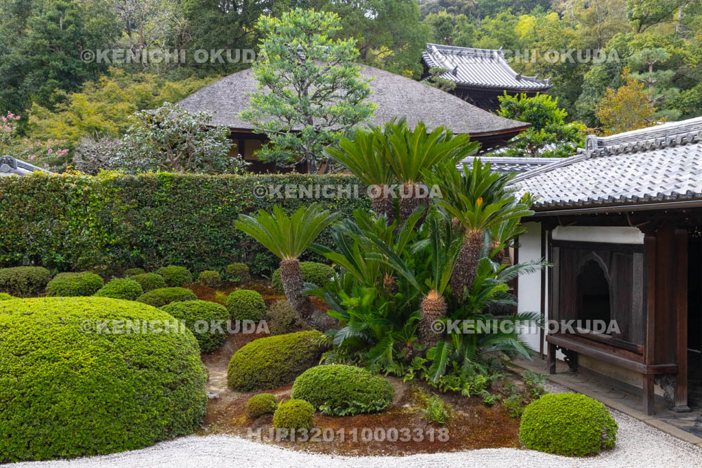 京都府　酬恩庵一休寺　方丈庭園　南庭