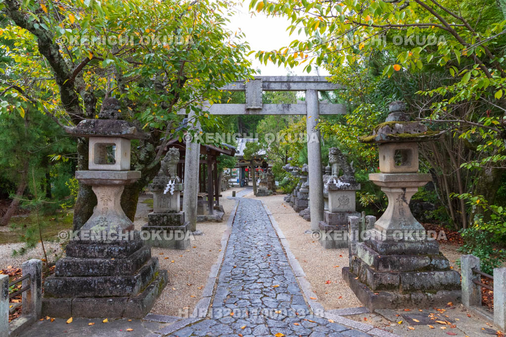 奈良県　奈良豆比古神社　参道