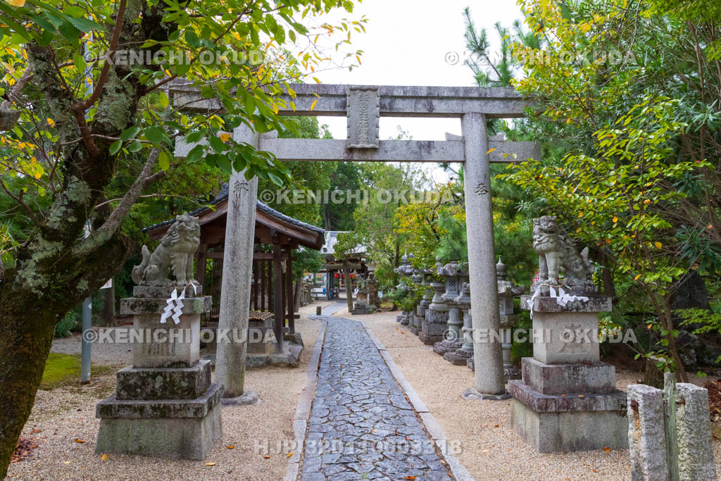 奈良県　奈良豆比古神社　参道