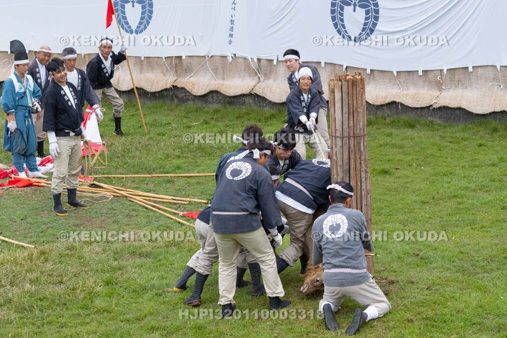 奈良県　春日大社鹿苑　鹿の角きり　取りおさえ