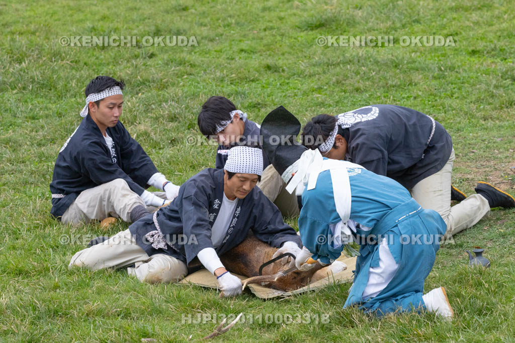 奈良県　春日大社鹿苑　鹿の角きり