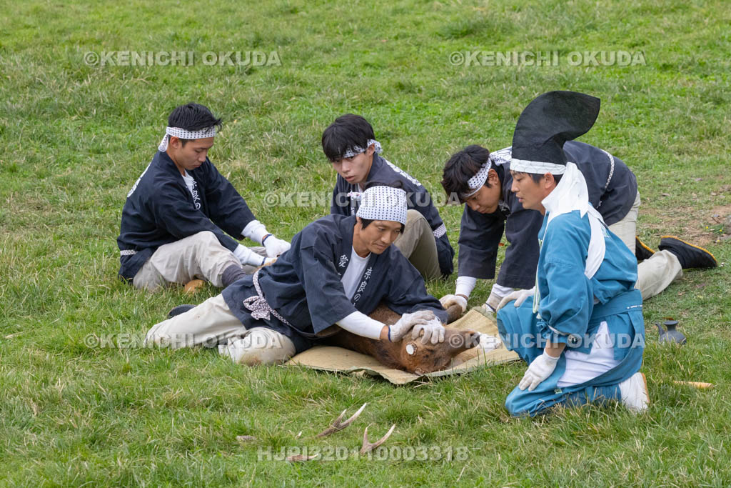 奈良県　春日大社鹿苑　鹿の角きり