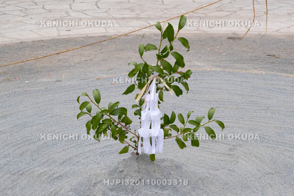 兵庫県　曽根天満宮　秋季例大祭（本宮）　奉納相撲神事の榊