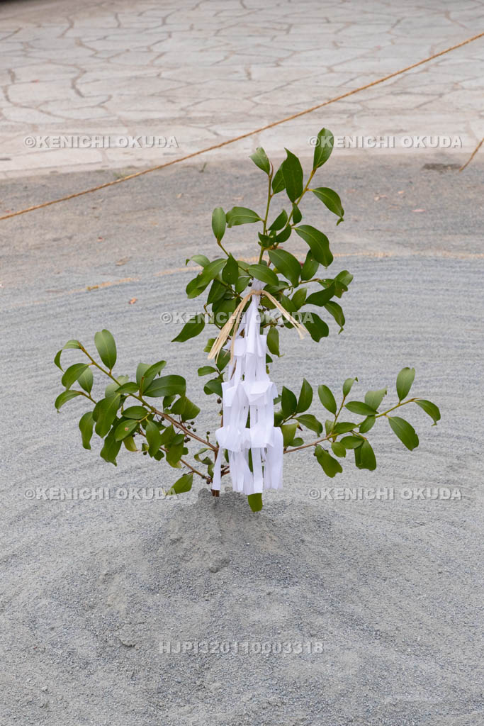 兵庫県　曽根天満宮　秋季例大祭（本宮）　奉納相撲神事の榊