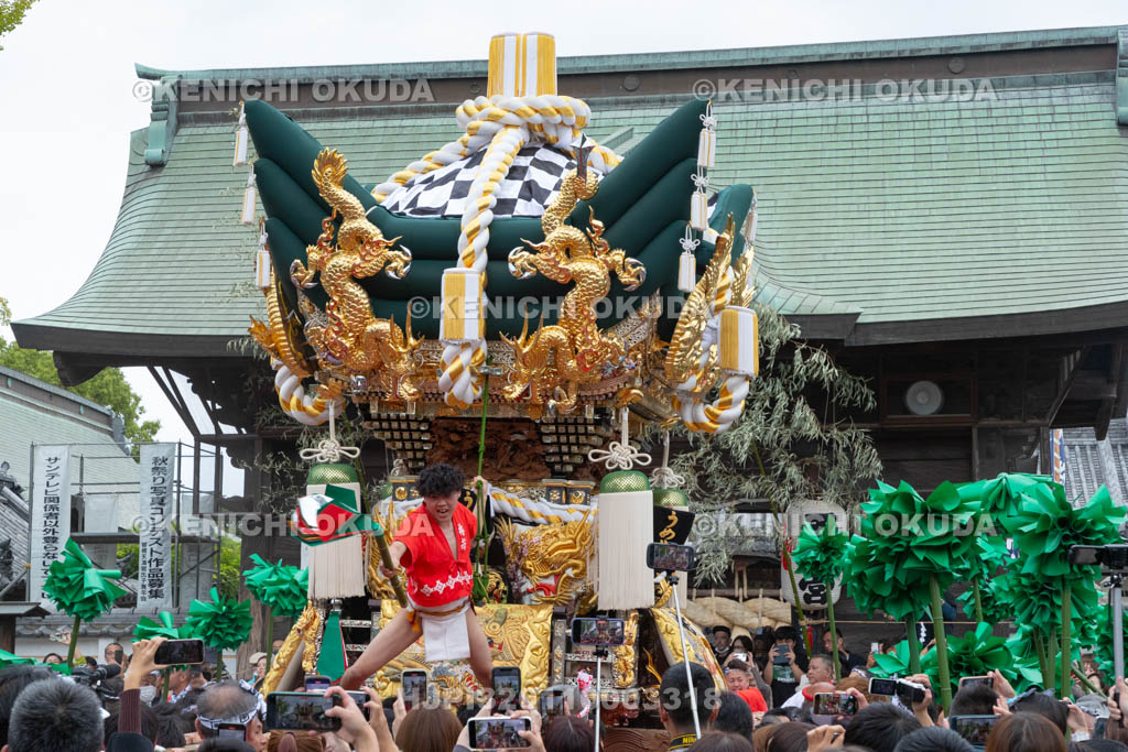 兵庫県　曽根天満宮　秋季例大祭（本宮）　布団屋台（梅井）