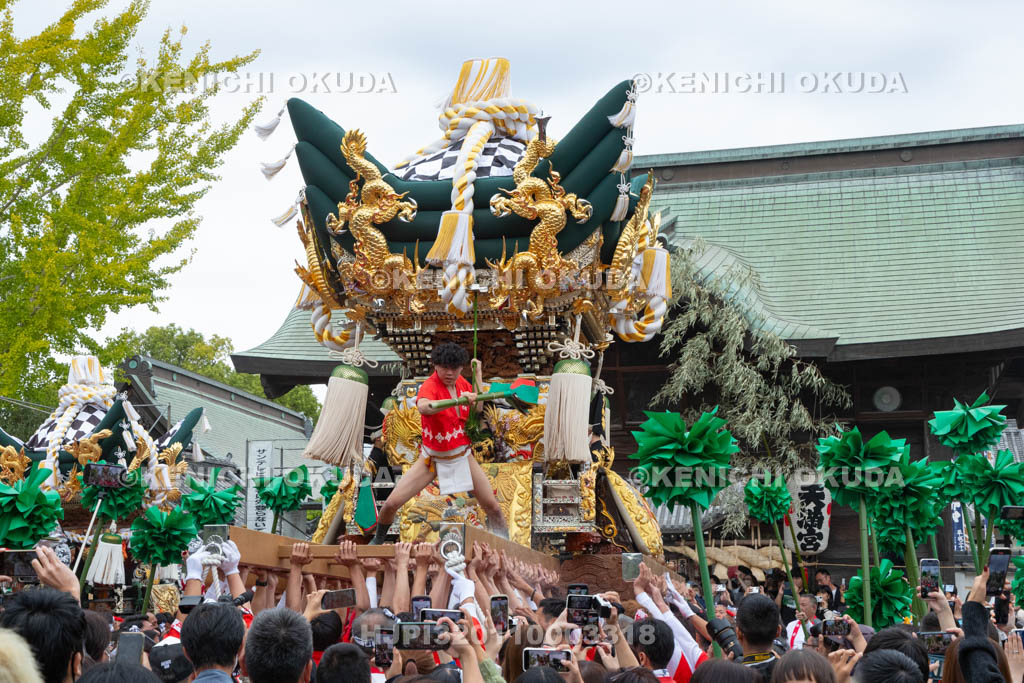 兵庫県　曽根天満宮　秋季例大祭（本宮）　布団屋台（梅井）